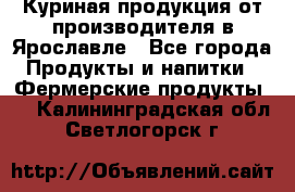 Куриная продукция от производителя в Ярославле - Все города Продукты и напитки » Фермерские продукты   . Калининградская обл.,Светлогорск г.